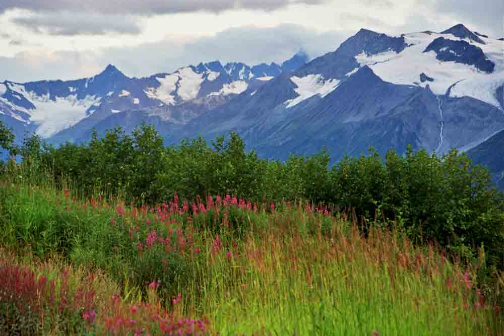 107 - Canada - Yukon, parque nacional de Kluane